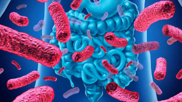 LA MICROBIOTA INTESTINAL
